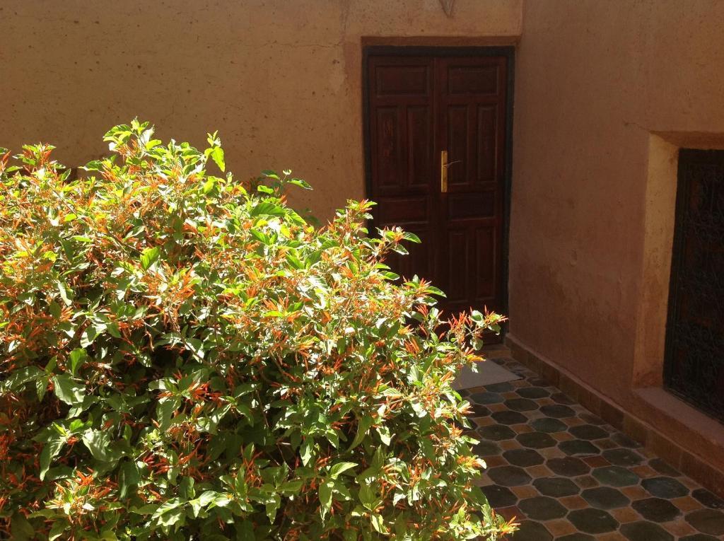 Riad Timadrouine Timatraouine Quarto foto